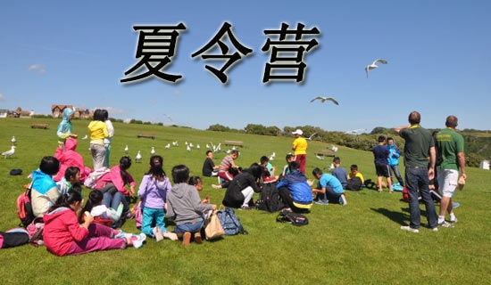 λӪ߻