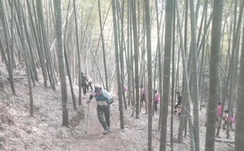 大学生班级登山活动策划书范文