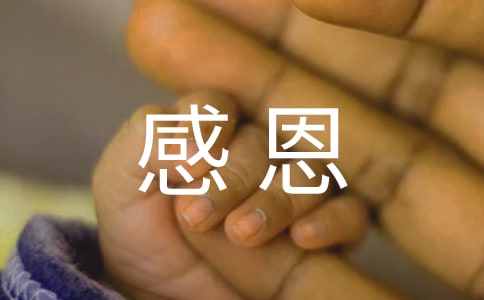 感恩父母主题班会策划书 (8篇)
