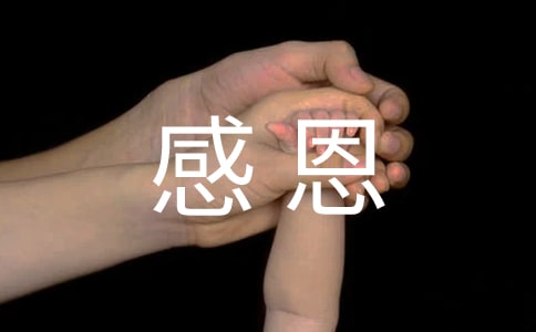 感恩主题活动策划方案集合15篇