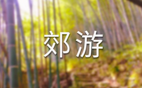 ѧλ߻鼯12ƪ