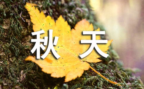 ʺ쿪չĻ߻