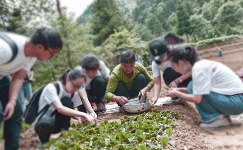 大学生三下乡实践活动策划书3篇