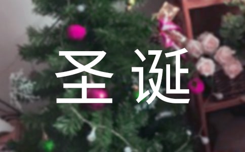 ѡʥڻ߻ģ8ƪ