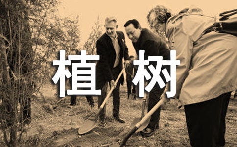 ֲ߻2018ôд