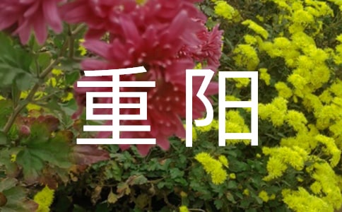 重阳敬老爱老主题活动